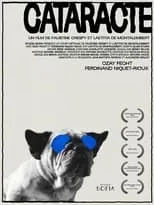 Póster de Cataracte
