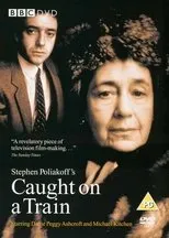 Póster de Caught on a Train