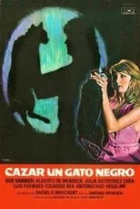 Póster de Cazar un gato negro