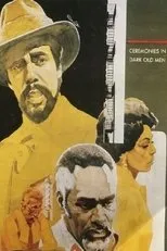 Póster de Ceremonies in Dark Old Men