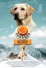 Póster de Charlie: Un Perro Especial