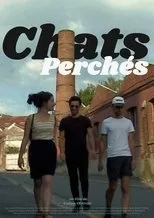 Póster de Chats perchés