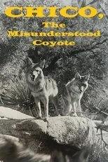 Póster de Chico, the Misunderstood Coyote