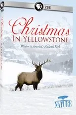 Póster de Christmas in Yellowstone