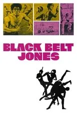 Póster de Cinturón negro