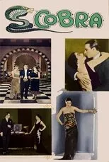 Póster de Cobra