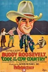 Póster de Code of the Cow Country