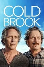 Póster de Cold Brook
