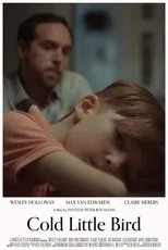 Póster de Cold Little Bird
