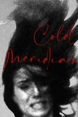 Póster de Cold Meridian
