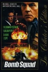 Póster de Cold Night Into Dawn