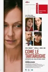 Póster de Come le tartarughe
