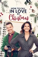 Póster de Cómo enamorarse en navidad