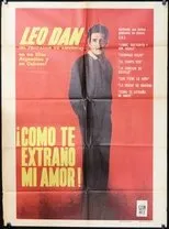 Póster de ¡Cómo te extraño...!