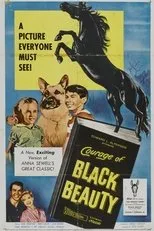 Póster de Courage of Black Beauty