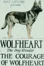 Póster de Courage of Wolfheart
