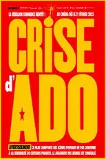 Póster de Crise d'ado