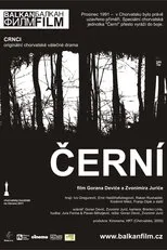 Póster de Crnci