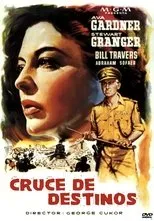 Póster de Cruce de destinos