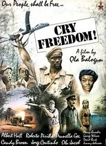 Póster de Cry Freedom