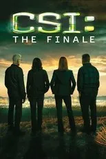 Póster de CSI: Caso Cerrado