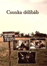 Póster de Csonka délibáb