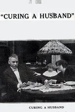 Póster de Curing a Husband