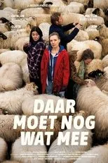 Póster de Daar moet nog wat mee