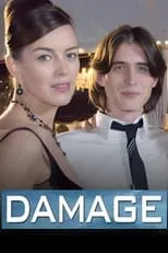 Póster de Damage
