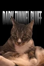 Póster de Dark Tunnel Bluff