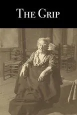 Póster de De Greep