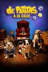Póster de De patitas a la calle