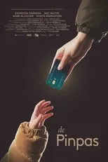 Póster de De Pinpas
