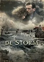 Póster de De storm