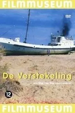 Póster de De verstekeling