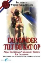 Póster de De vlinder tilt de kat op
