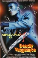 Póster de Deadly Vengeance