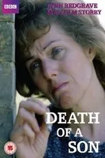Póster de Death of a Son