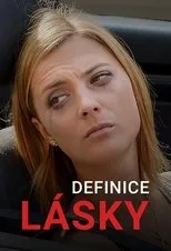 Póster de Definice lásky