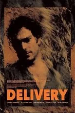 Póster de Delivery