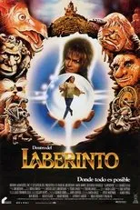 Póster de Dentro del laberinto