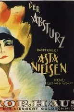 Póster de Der Absturz