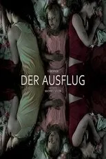 Póster de Der Ausflug