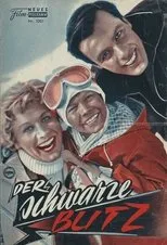 Póster de Der schwarze Blitz