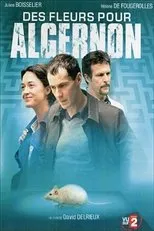 Póster de Des fleurs pour Algernon