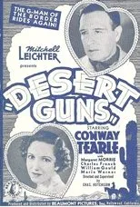 Póster de Desert Guns