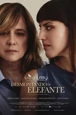 Póster de Desmontando un elefante