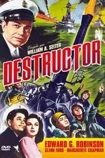 Póster de Destructor