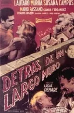 Póster de Detrás de un largo muro