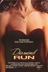 Póster de Diamond Run